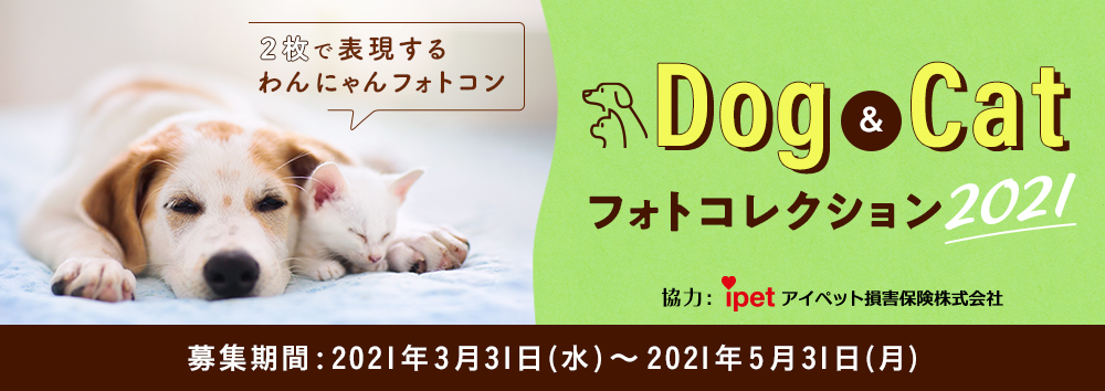 Dog&Catフォトコレクション2021