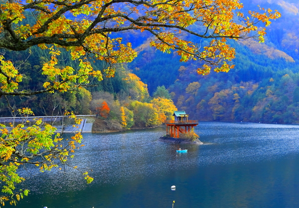 湖畔の秋景